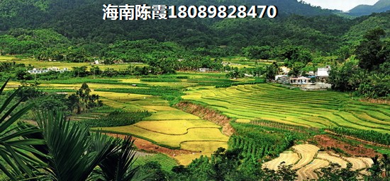 中南.唐山湾房价2023真的会跌吗