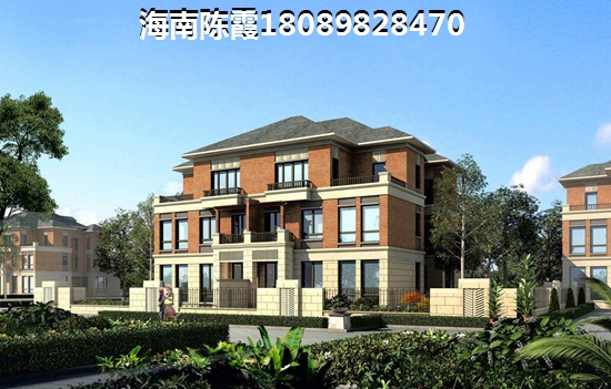 海港清水湾 一居  户型图