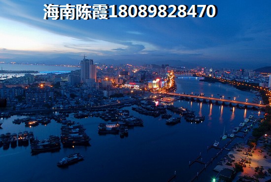 清水湾 一居  户型图